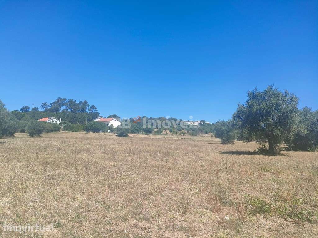 3 Terrenos Rústicos com área total de 18.880m2 - Cabeças, Tomar