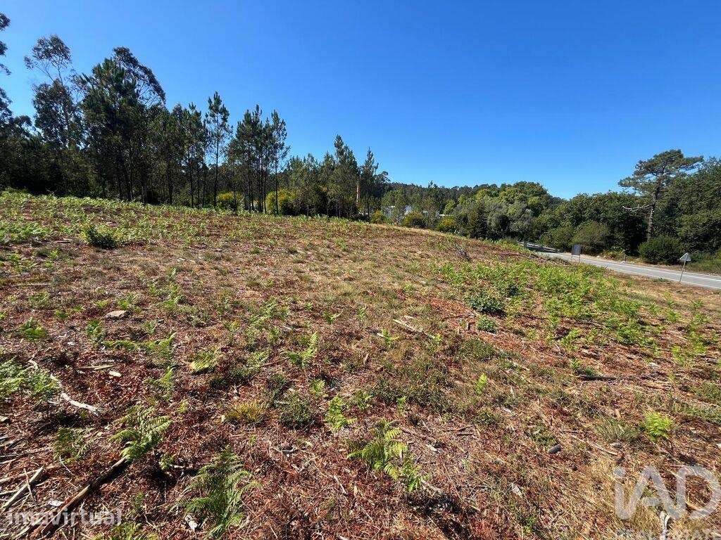 Terreno industrial em Antas - Grande imagem: 3/11