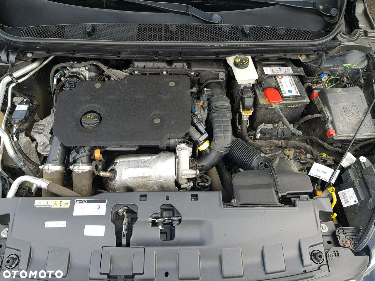Peugeot 308 - 18