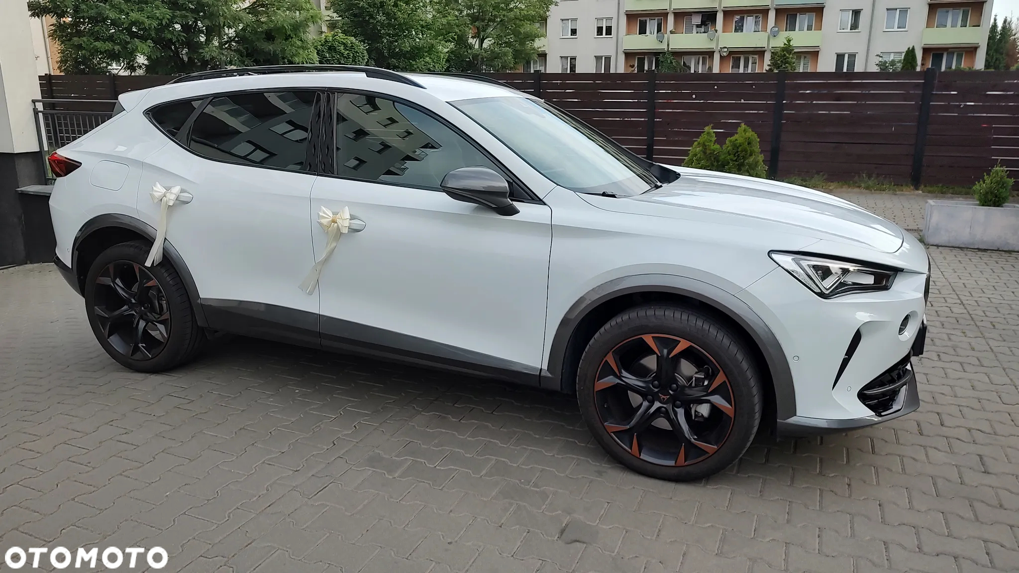 Cupra Formentor 1.5 TSI - 2