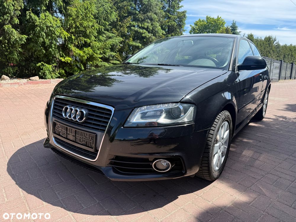 Audi A3 3-drzwiowe 1.6 Limited Edition - 3