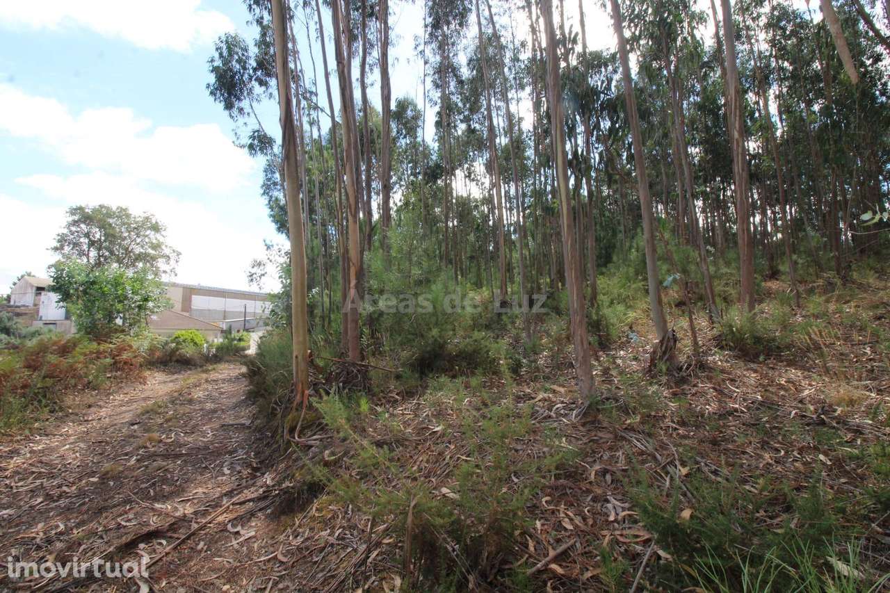 Terreno para Construção - Caranguejeira, Leiria - Grande imagem: 3/7