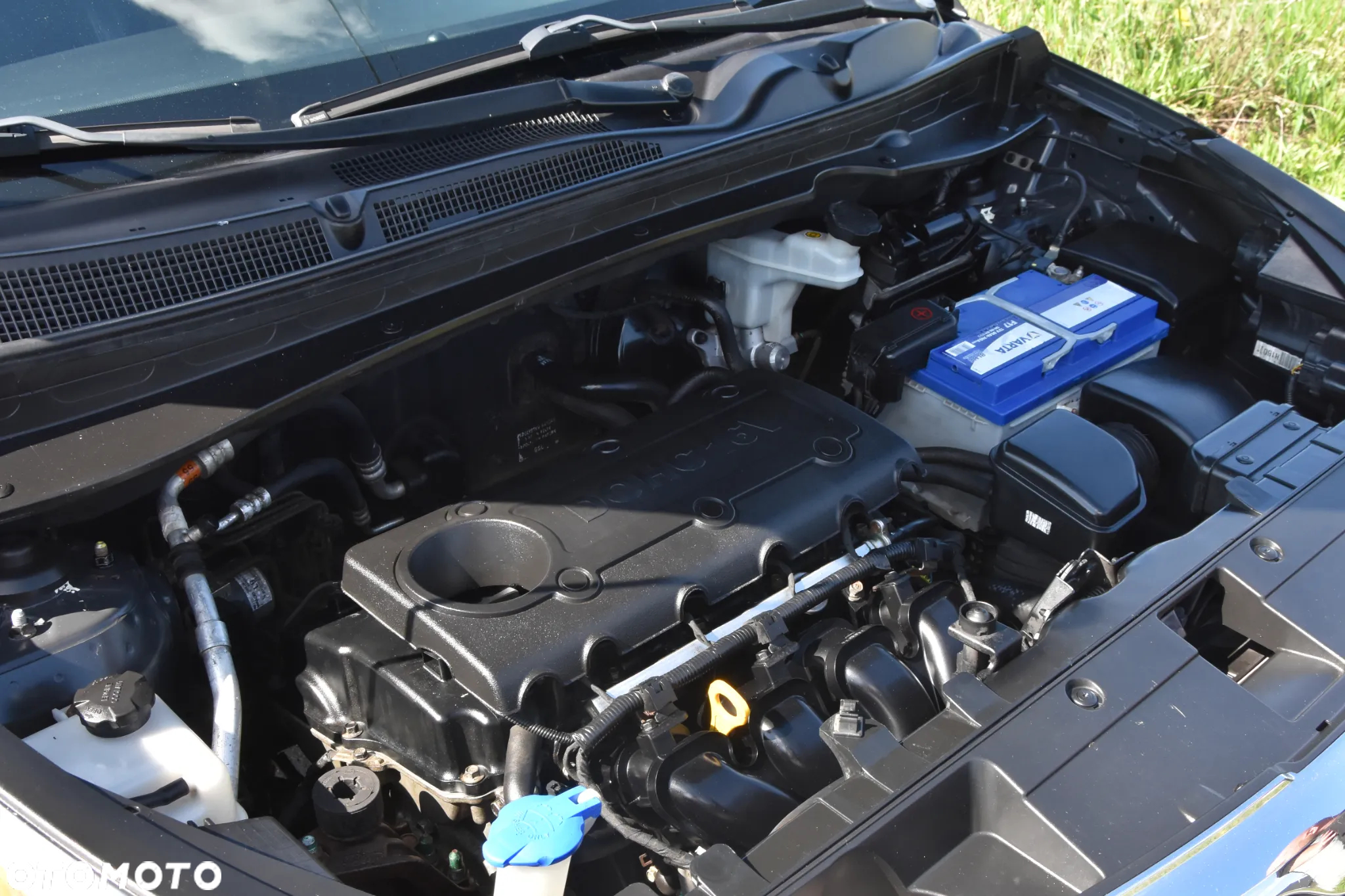 Kia Sportage - 39