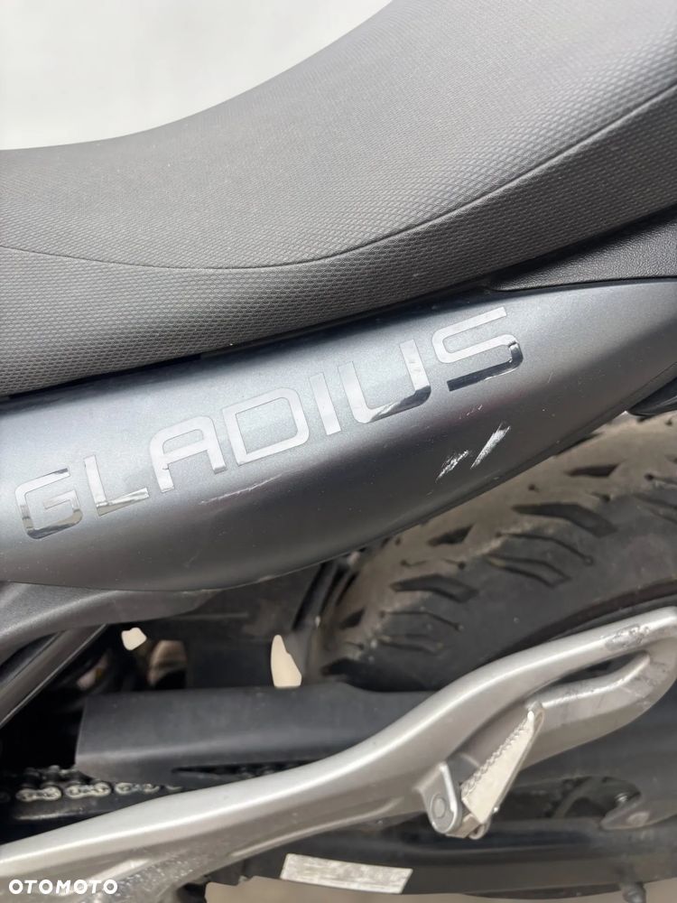 Suzuki Gladius - 15