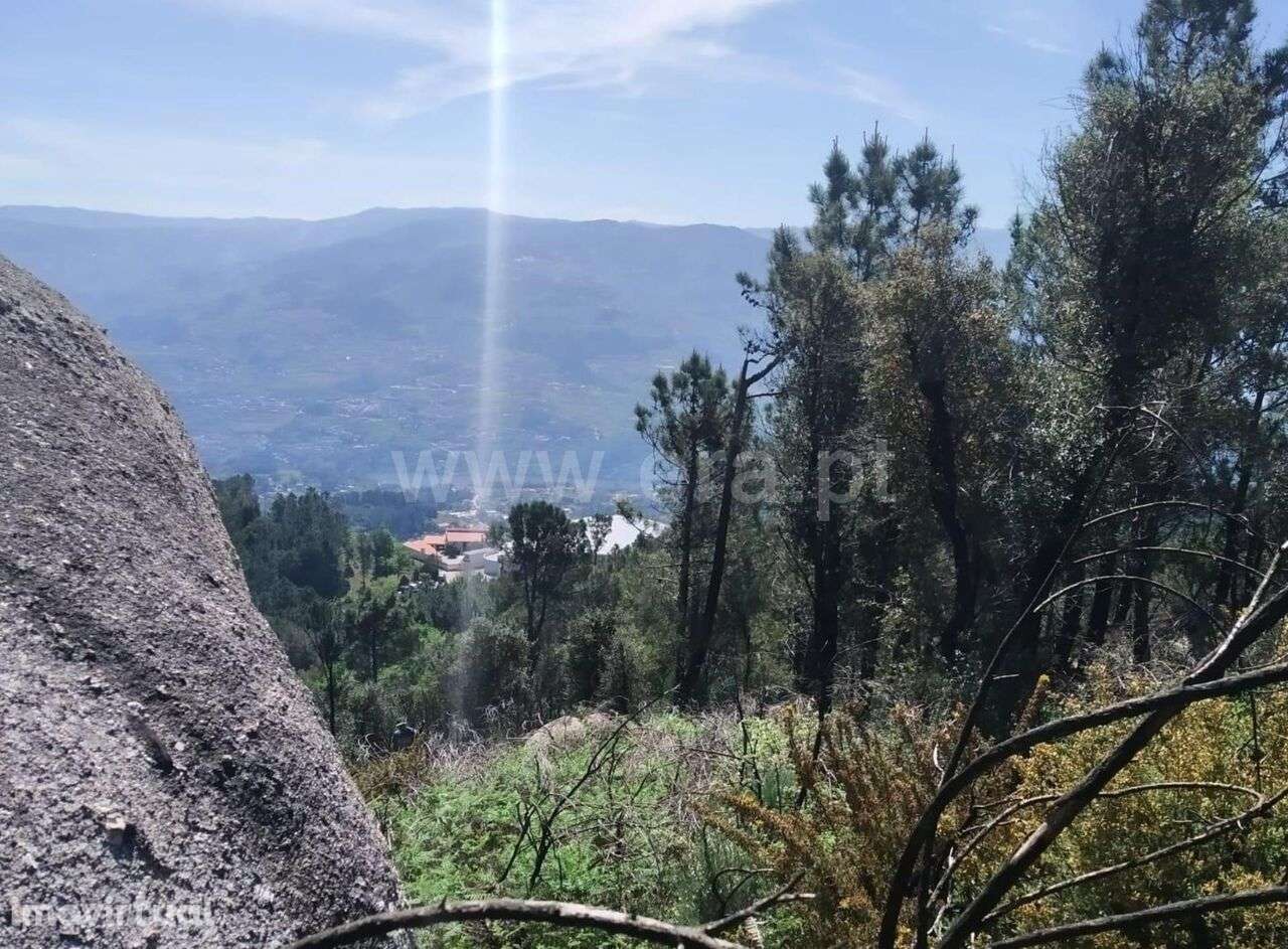 Terreno / Baião, Santa Cruz do Douro e São Tomé de Covelas - Grande imagem: 2/6