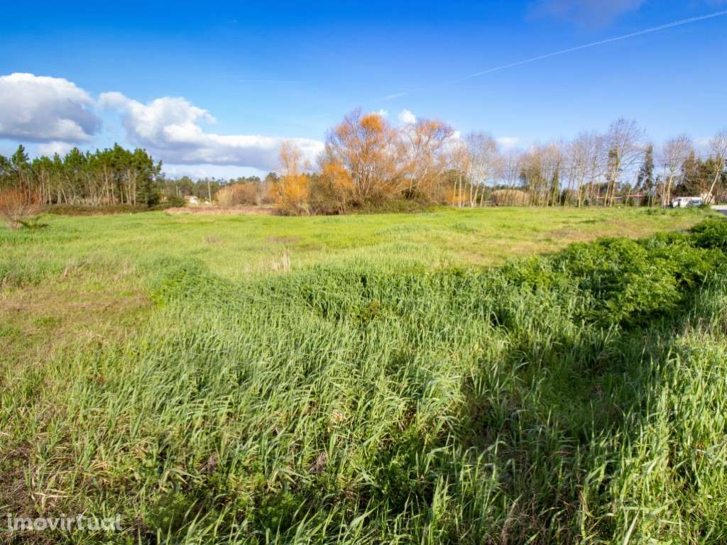 Terreno - Grande imagem: 4/5