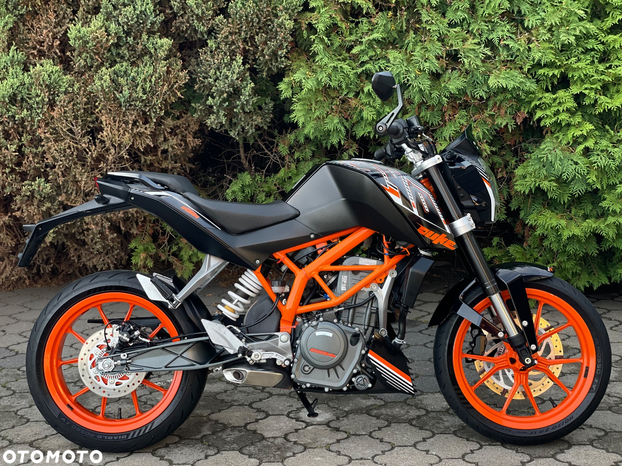 KTM Duke - 2
