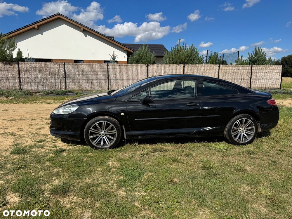 Peugeot 407 165 Sport - 12