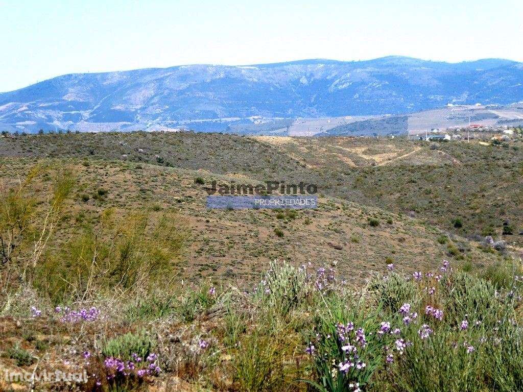 15ha terra agrícola p/ vinha, olival, amendoal. Portugal, V. N. Foz... - Grande imagem: 3/9