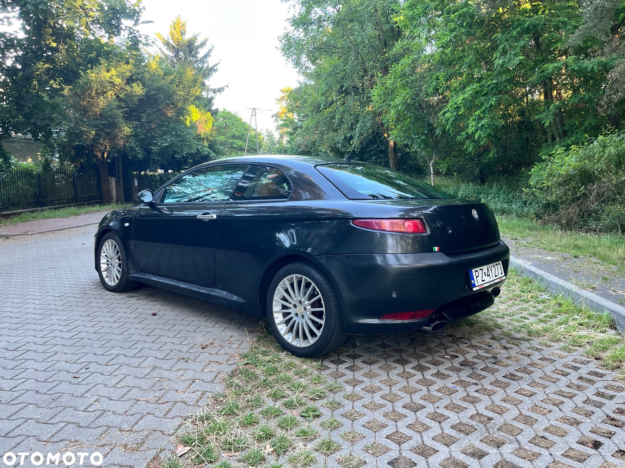 Alfa Romeo GT - 3