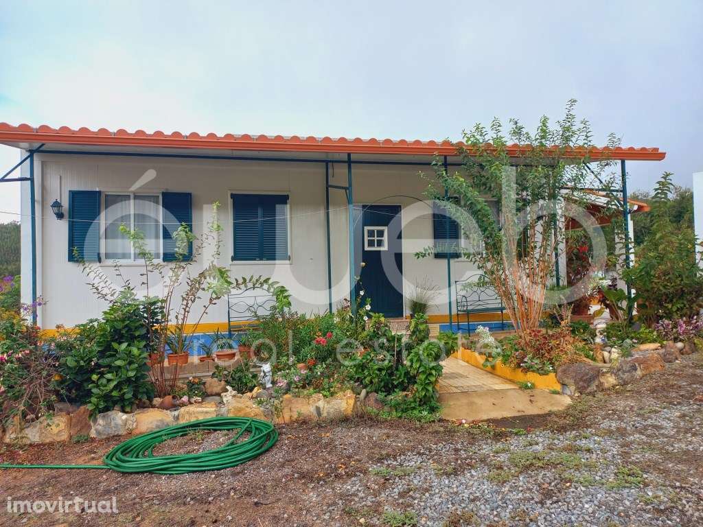 Lote, S. Luis, Odemira - Grande imagem: 2/25