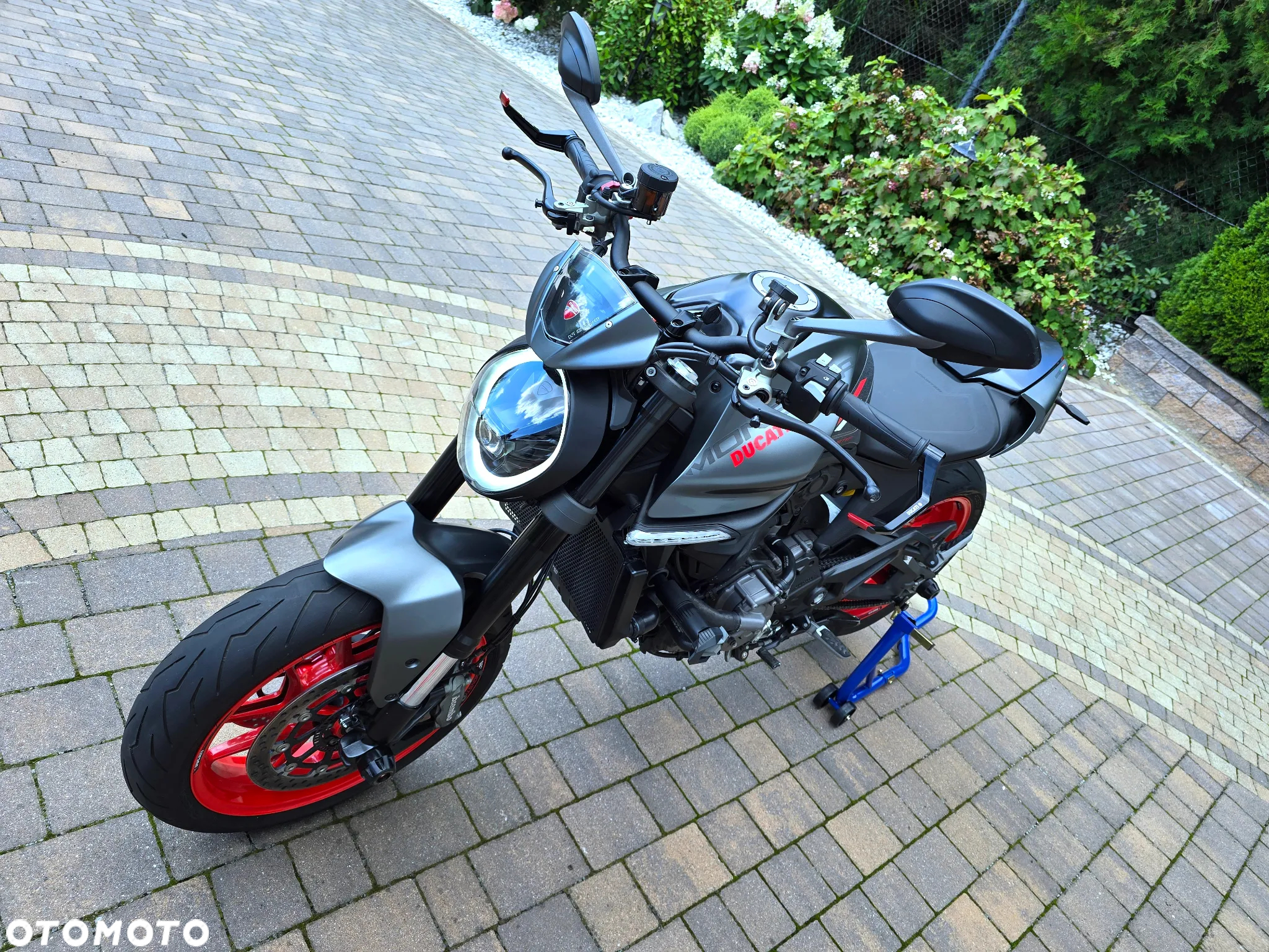 Ducati Monster - 4