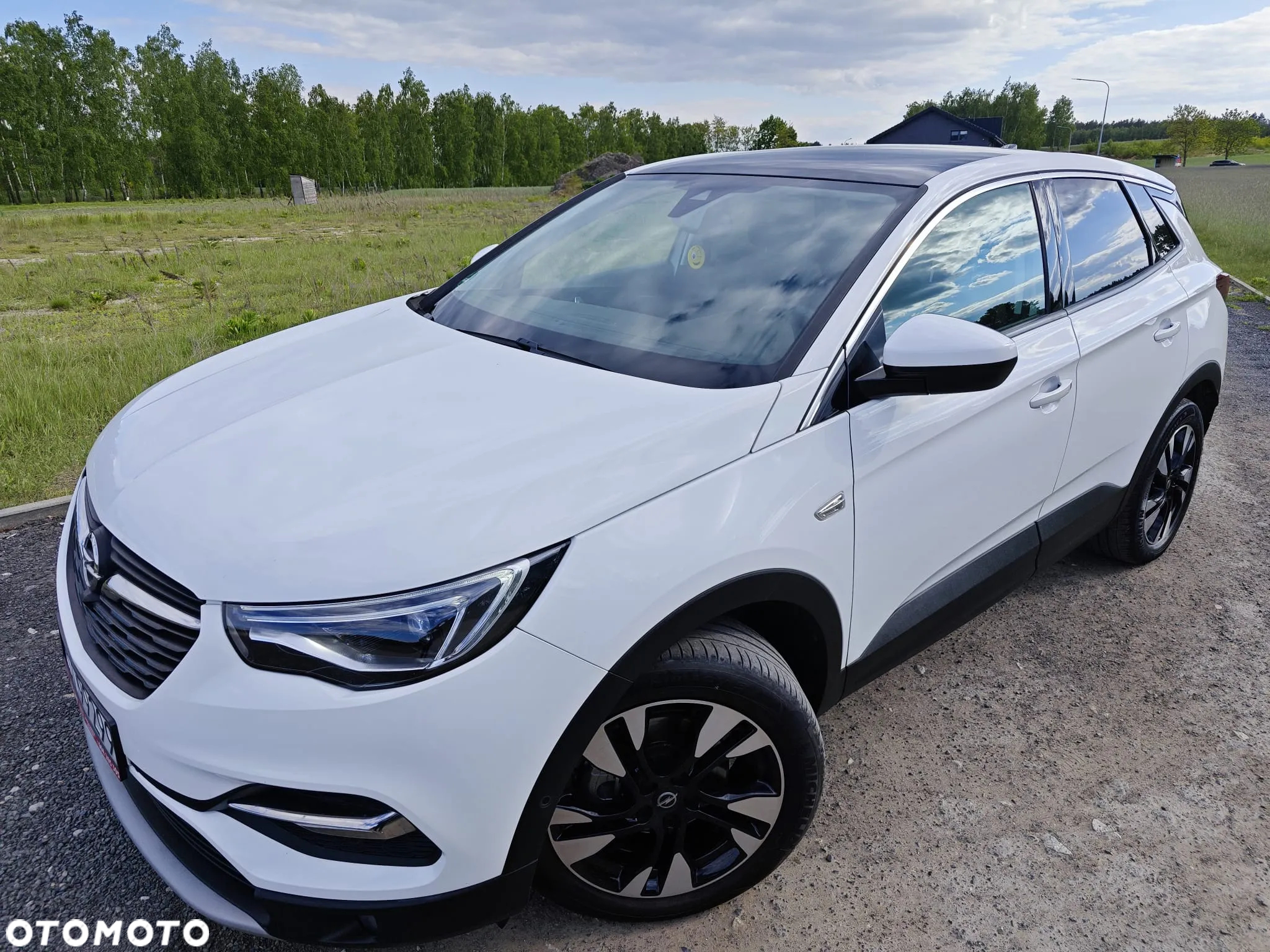 Opel Grandland X 2.0 D Start/Stop Automatik Business INNOVATION - 4