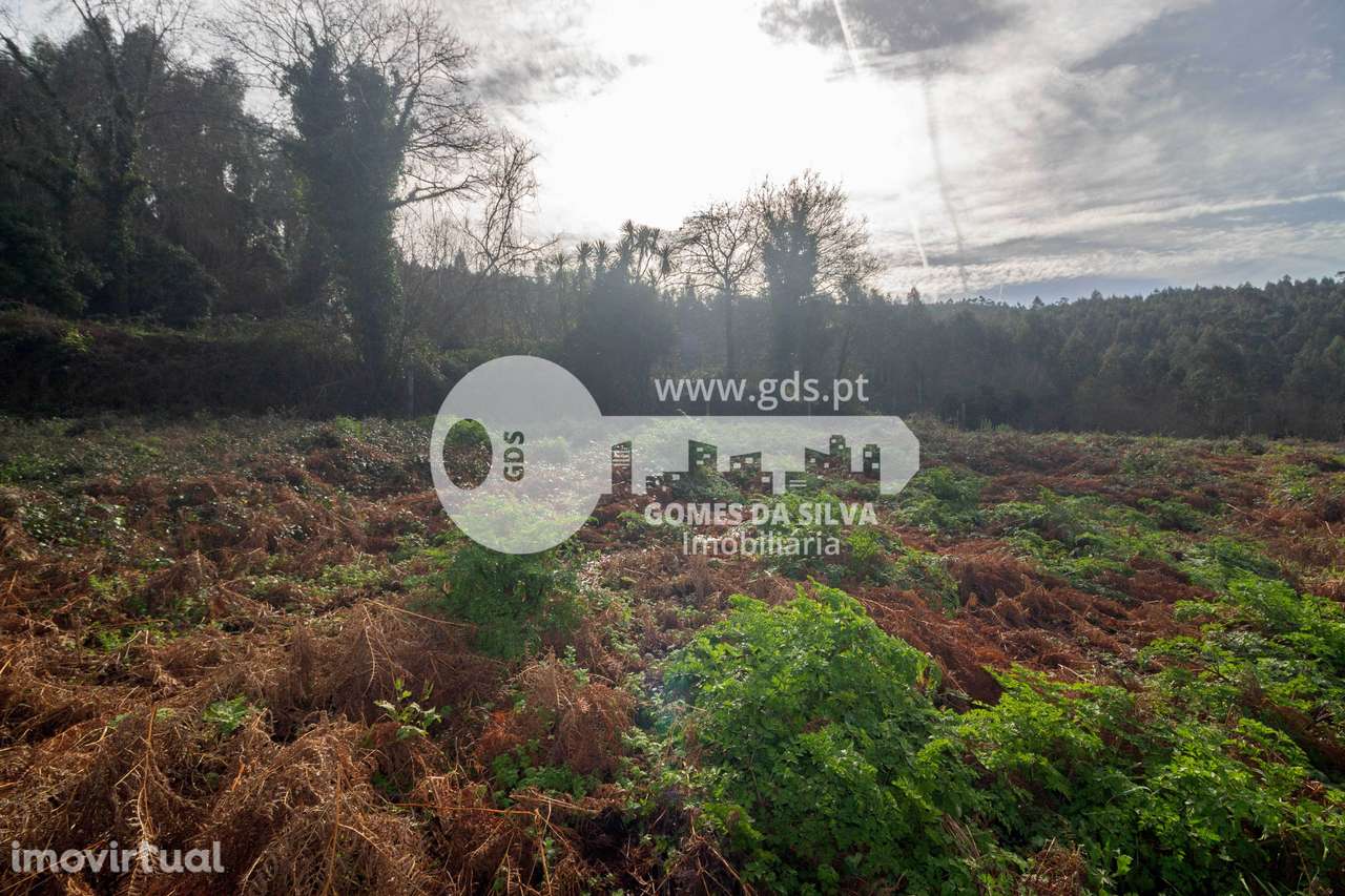 Terreno Agrícola em Vale São Martinho, Vila Nova de Famalicão - Grande imagem: 5/16