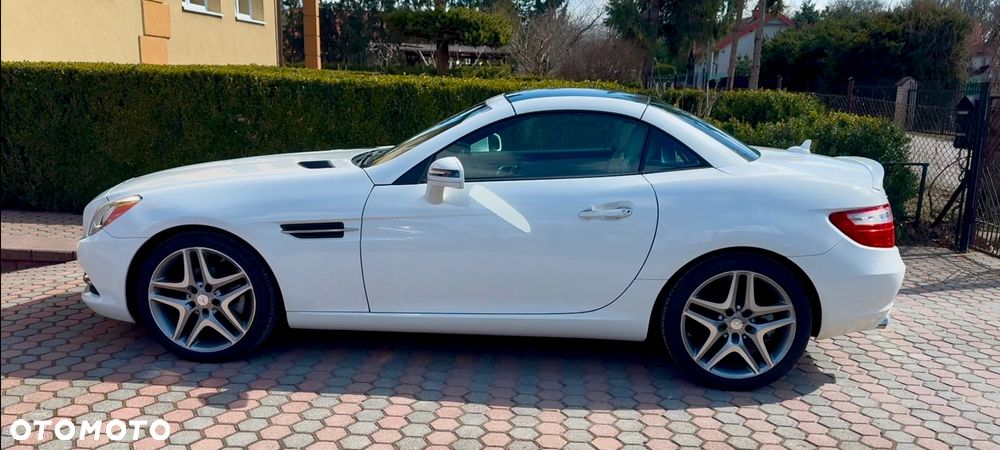 Mercedes-Benz SLK 250 (BlueEFFICIENCY) 7G-TRONIC - 16