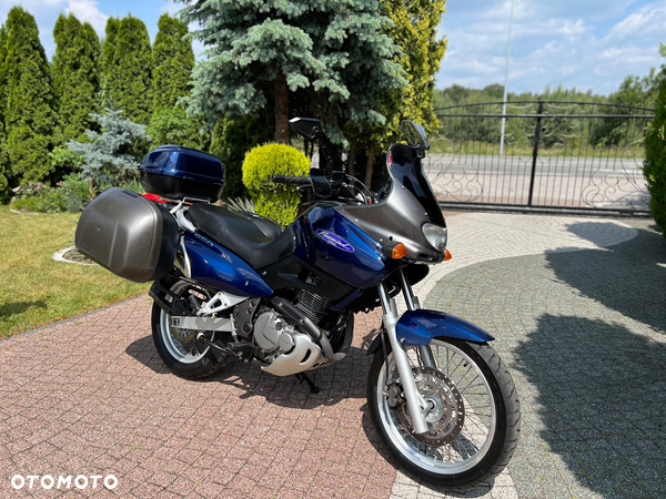 Suzuki XF