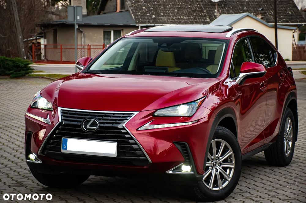 Lexus NX - 11