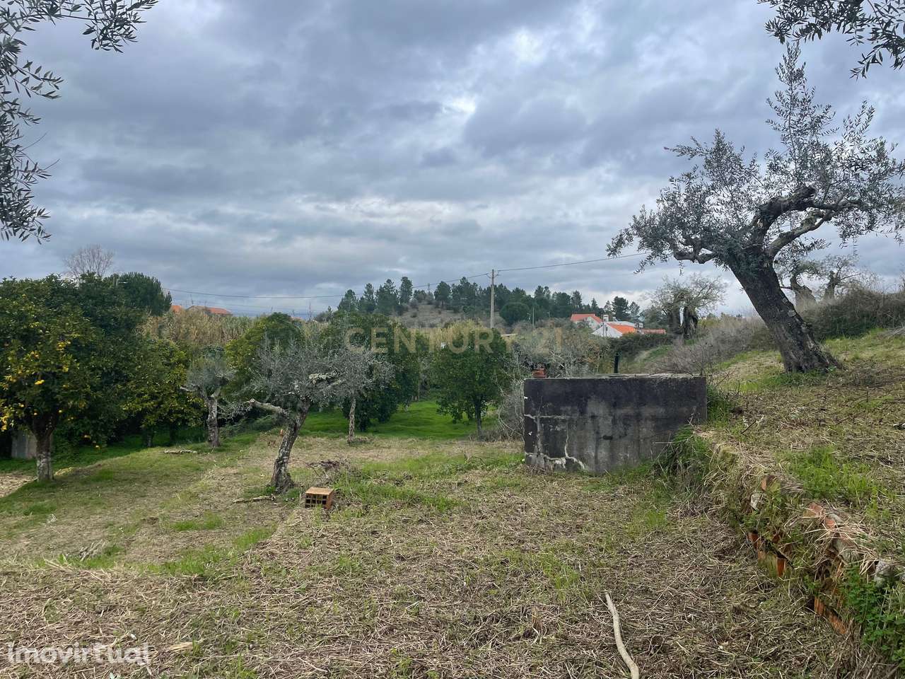 Terreno em Martinchel, Abrantes - Grande imagem: 4/11