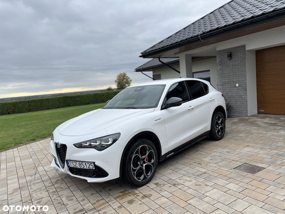 Alfa Romeo Stelvio 2.2 JTDM Veloce Q4 - 12