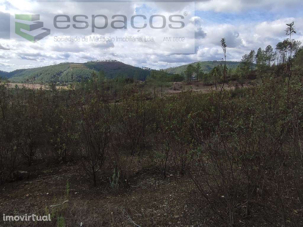 Terreno rústico - Martim Branco - Grande imagem: 2/9