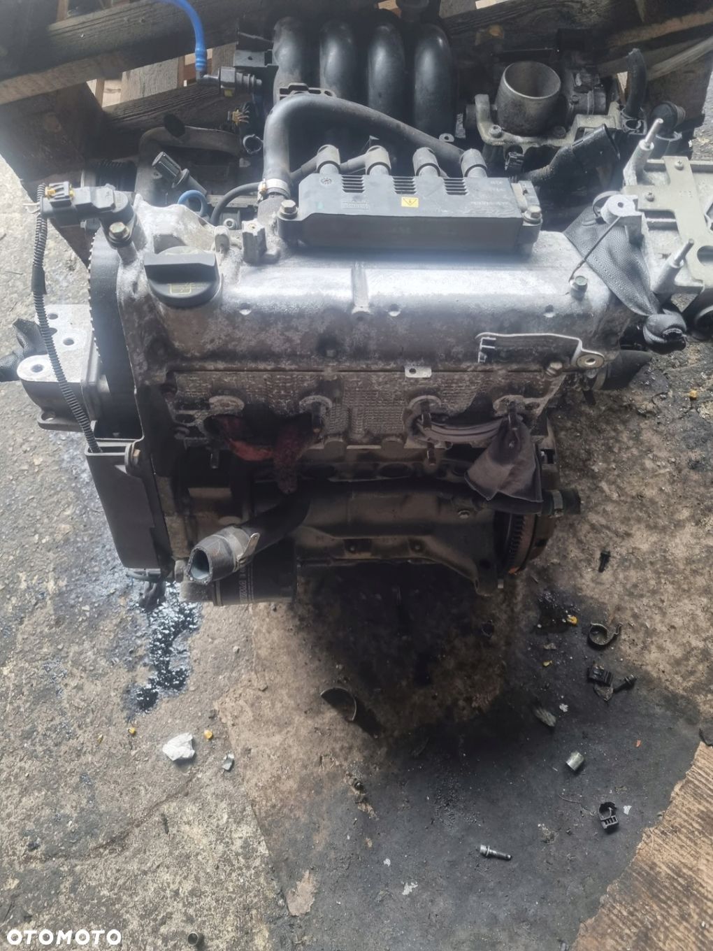 Silnik kompletny Fiat Grande Punto 1.2 8v 199A4000 - 1