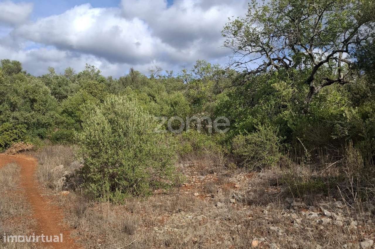Terreno Rústico em Cerro Monte Brito com 11.460m2 - Grande imagem: 4/25