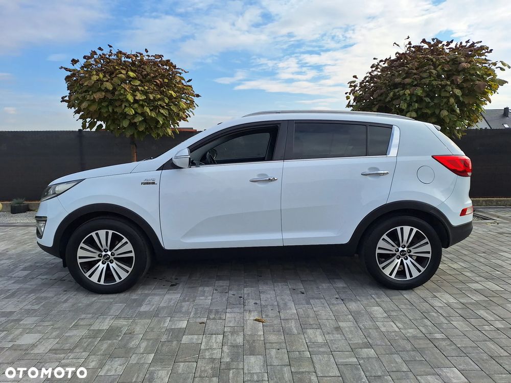 Kia Sportage 2.0 CRDI Business Line 4WD - 2