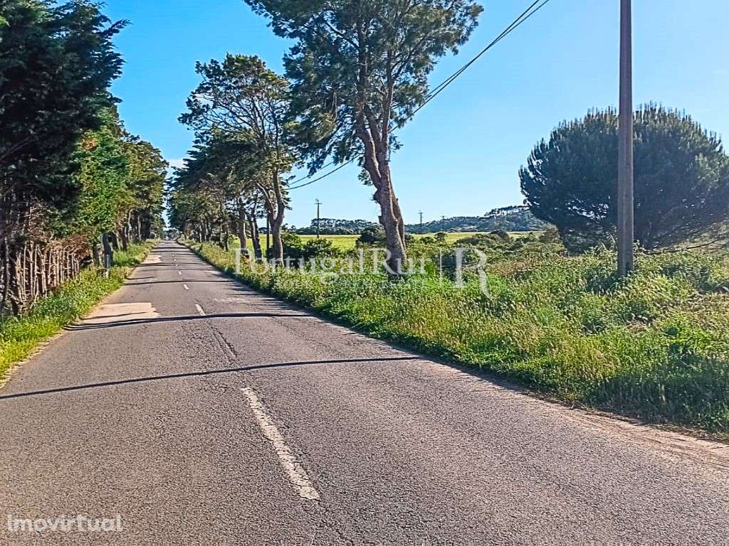 Terreno com 10.500 m² a 5 minutos das Praias Costa Vicentina, Algarve - Grande imagem: 4/5