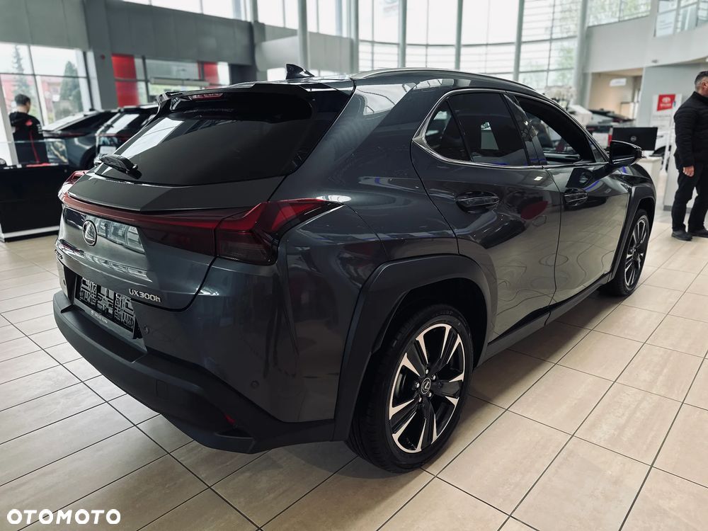 Lexus UX 300h Business - 4