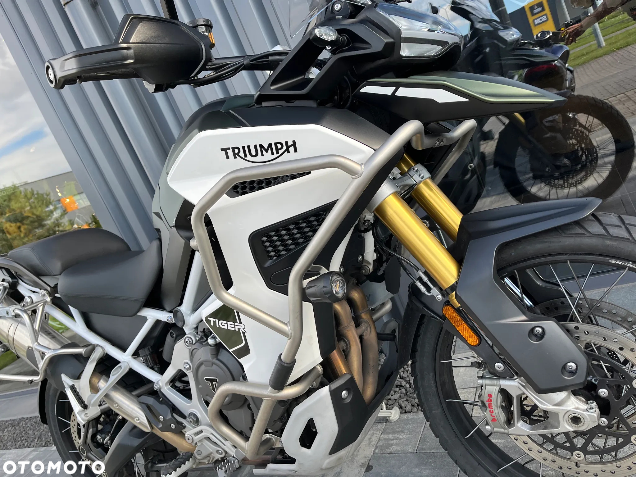 Triumph Tiger - 8