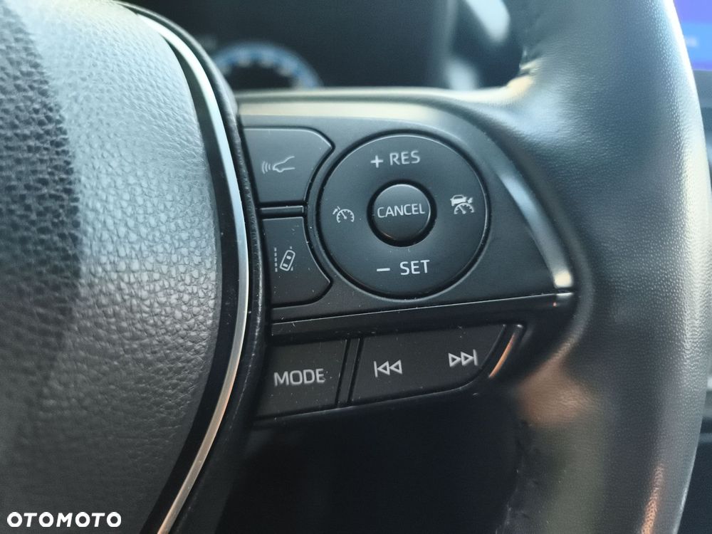 Toyota RAV4 2.5 Hybrid Selection 4x2 - 24