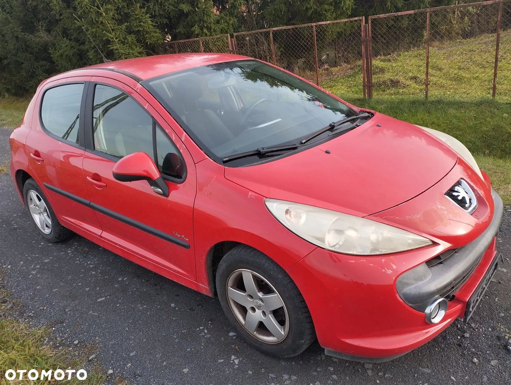 Peugeot 207 - 6