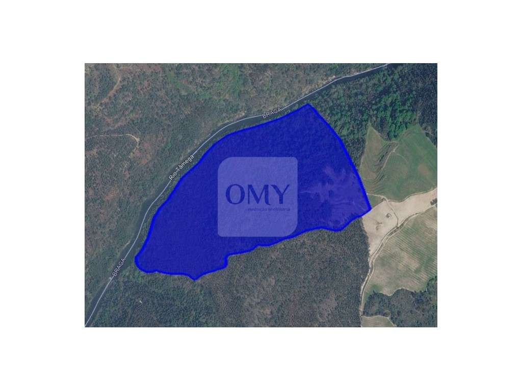 Terreno Florestal de 16 Hectares em Atei, Mondim de Basto - Vista 2