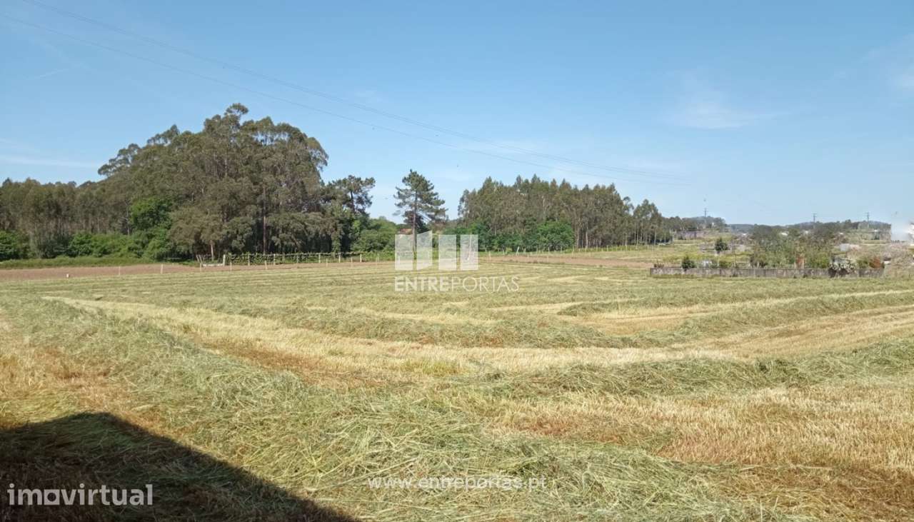 Venda de Terreno com 15 000 m2, Vilar, Vila do Conde - Grande imagem: 5/11