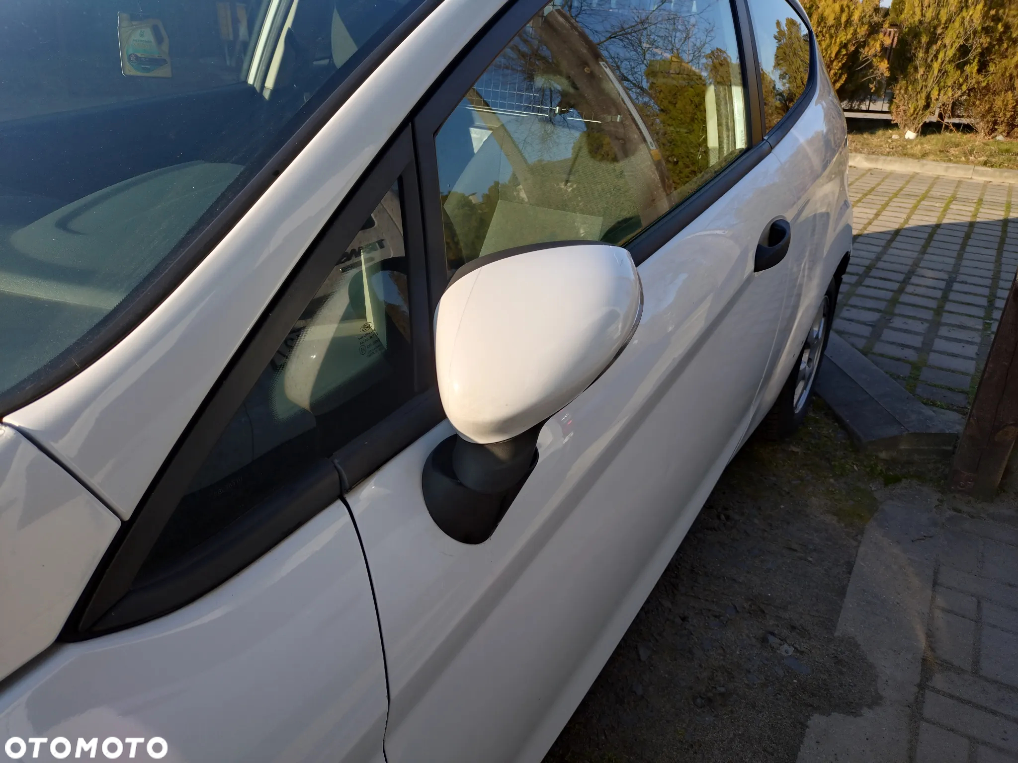 Ford Fiesta - 14