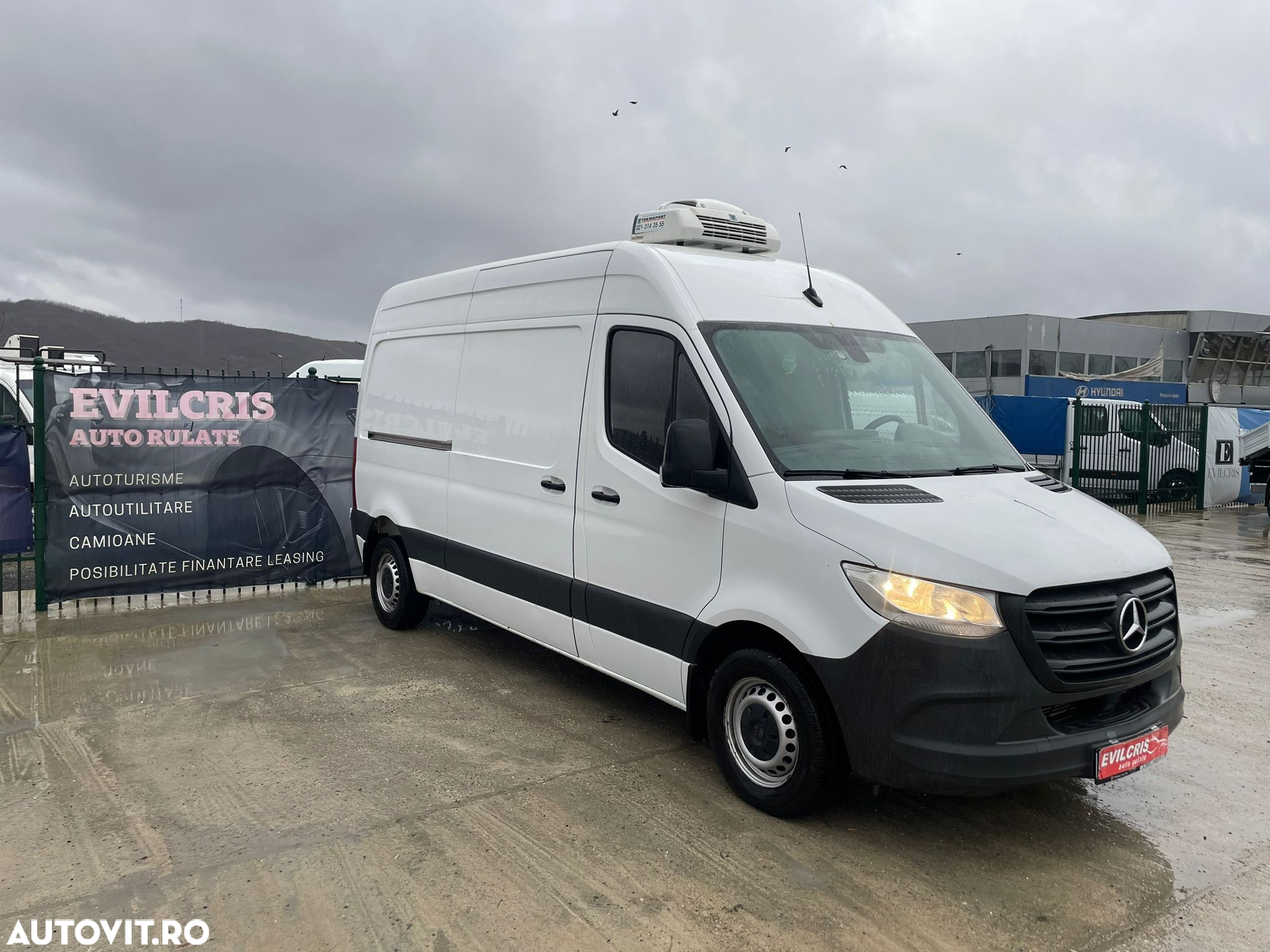 Mercedes-Benz Sprinter FRIGORIFIC THERMO KING - 24