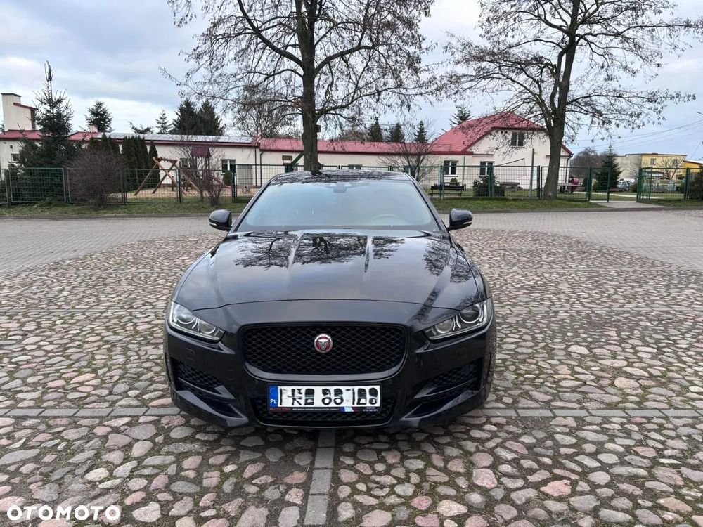Jaguar XE E-Performance R-Sport - 2