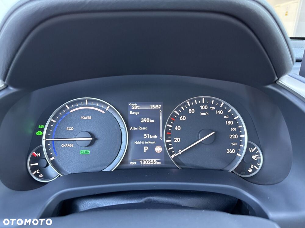 Lexus RX 450h F-Impression - 18