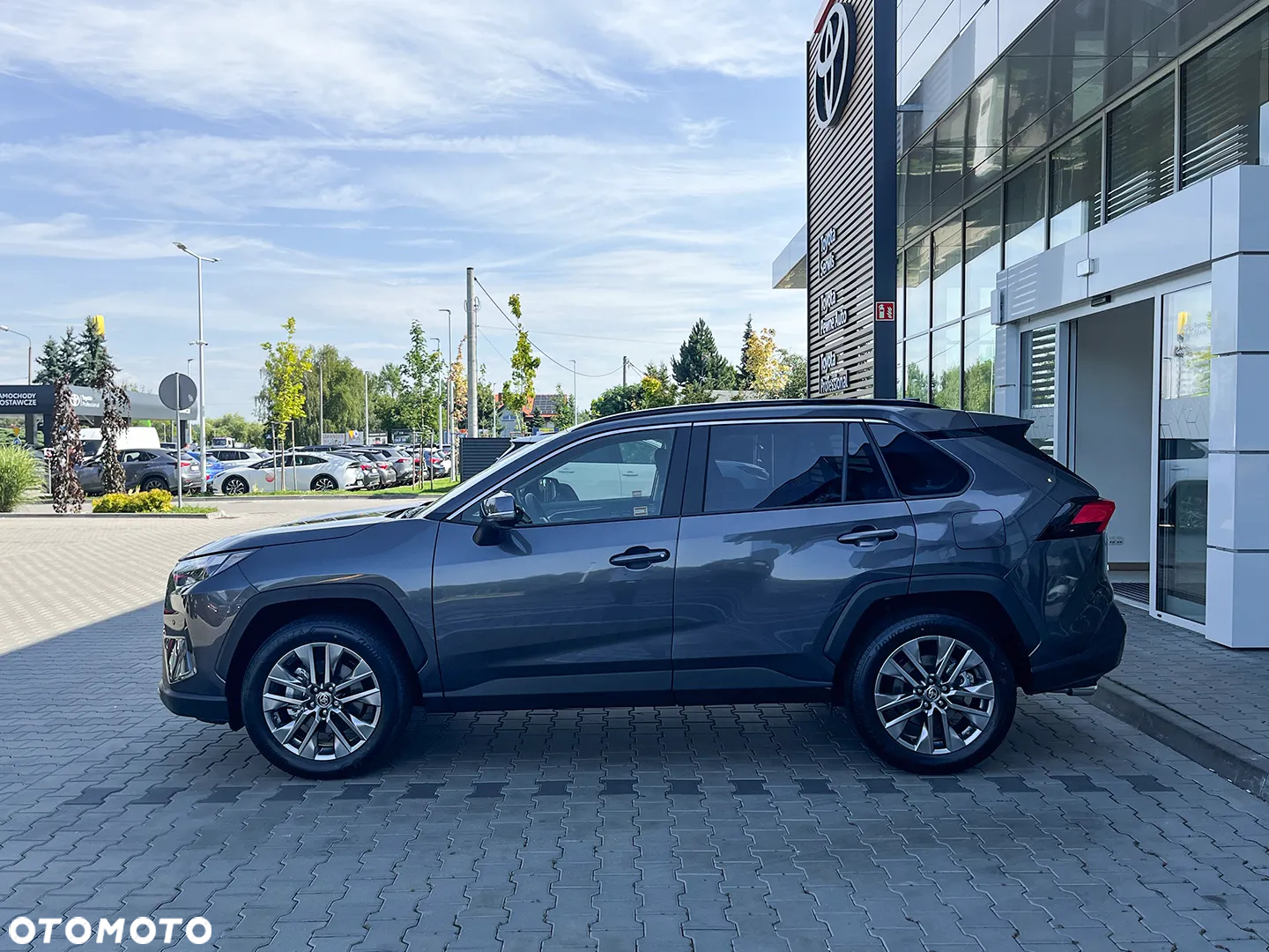 Toyota RAV4 2.5 Hybrid Executive 4x4 - 4