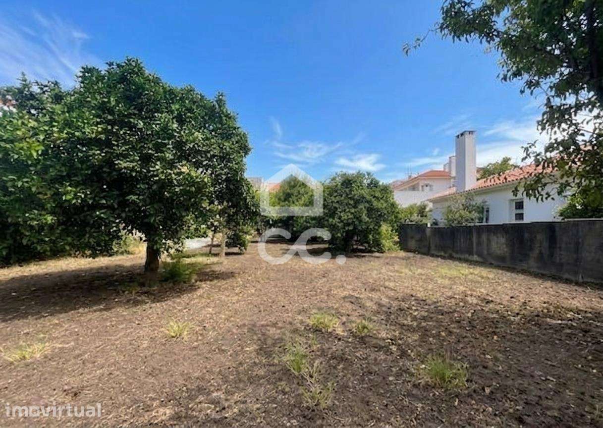 Terreno para Construção de 4 Moradias com Loteamento Aprovado no Pened - Grande imagem: 2/35