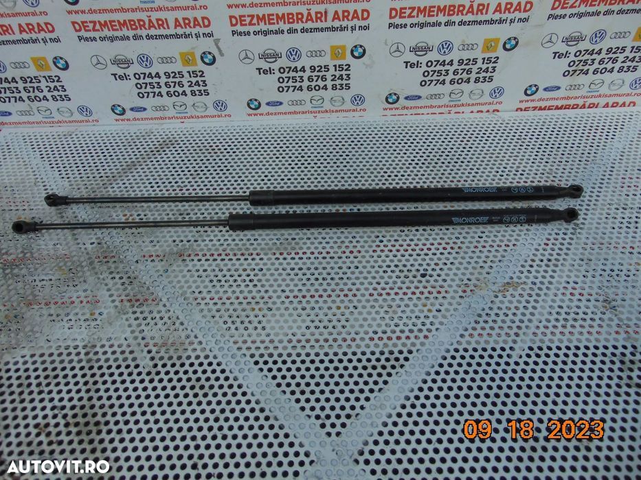 telescop Haion renault Scenic 3 amortizoare haion stanga dreapta sceni - 1