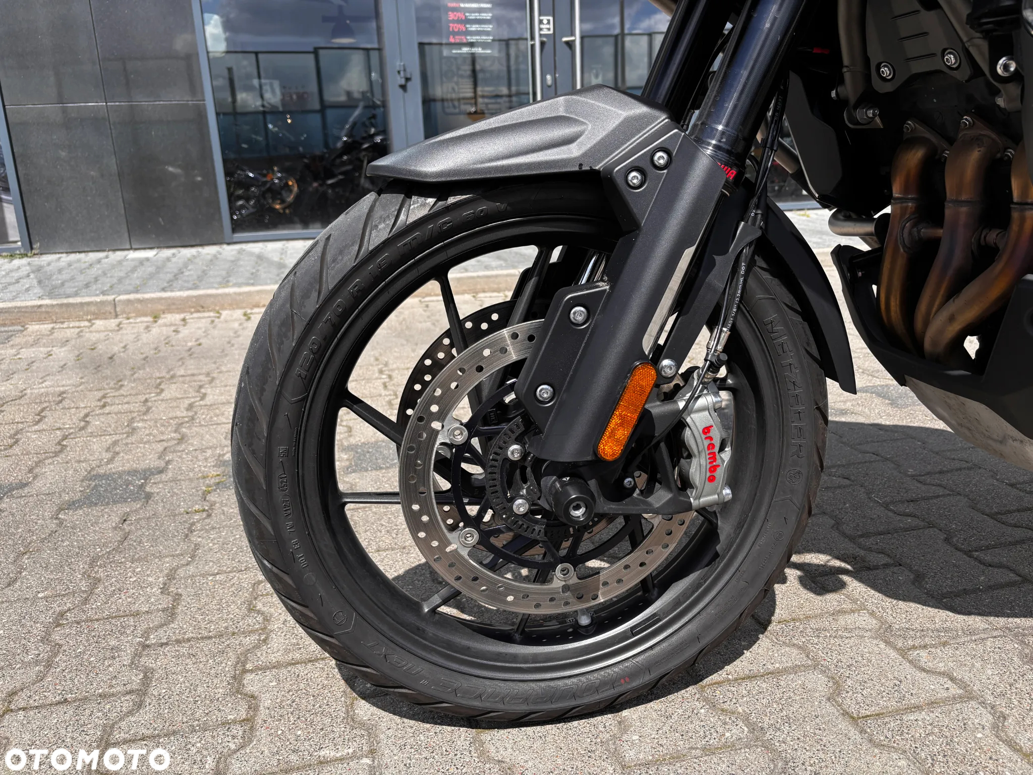 Triumph Tiger - 14