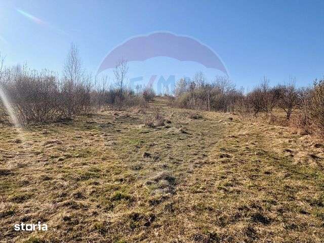 Casă traditionala+TEREN 6.000 mp - Imagine principală: 5/6