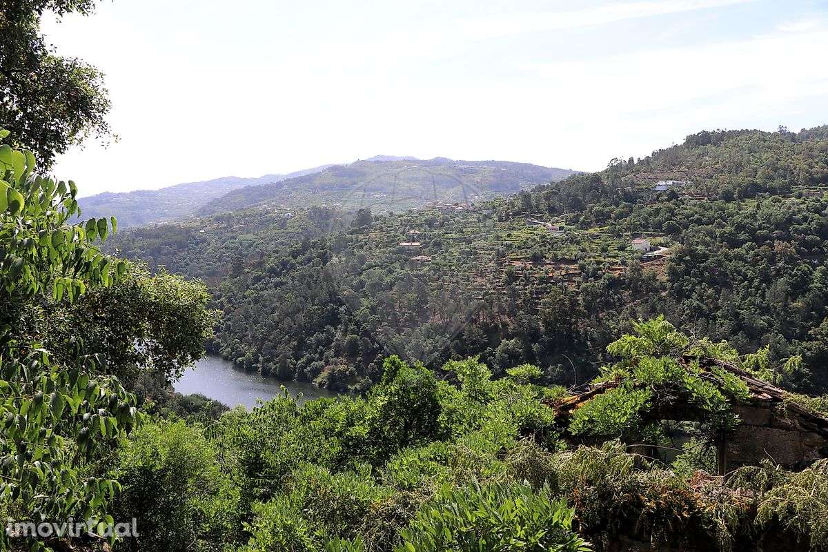 Quinta  para venda - Grande imagem: 2/16