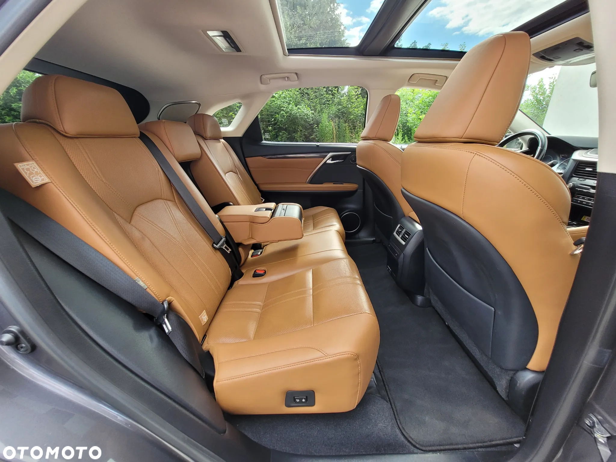 Lexus RX - 14
