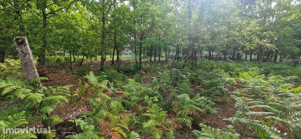 Terreno Urbano  Venda em Abraveses,Viseu - Grande imagem: 5/7