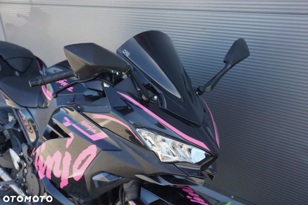 Kawasaki Ninja - 10