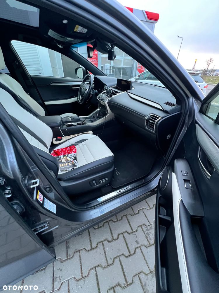 Lexus NX 300h F Sport AWD - 16