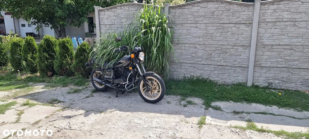 Yamaha Virago - 6