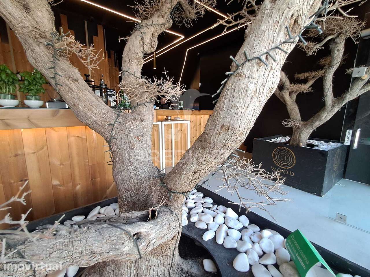 Trespasse de Lounge Bar com jogos. - Grande imagem: 2/33
